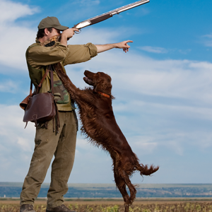 La chasse, une activité réglementée, joue un rôle important dans la